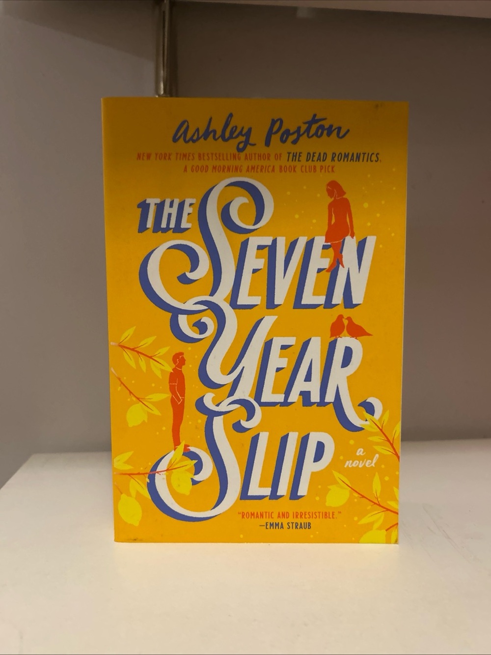 The Seven Year Slip by Ashley Poston - Yellow Cover Novel